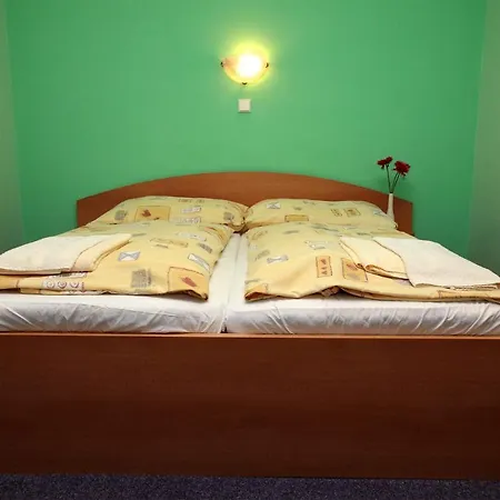 Ascona Guest house 3*